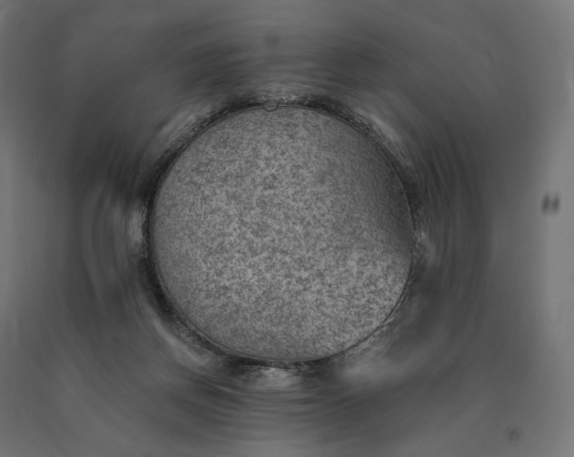 X0000090780166200708031723
