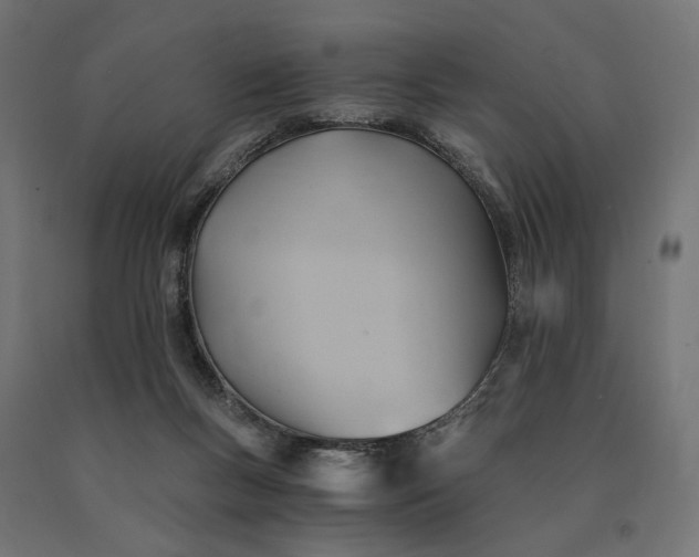 X0000090780167200708031723