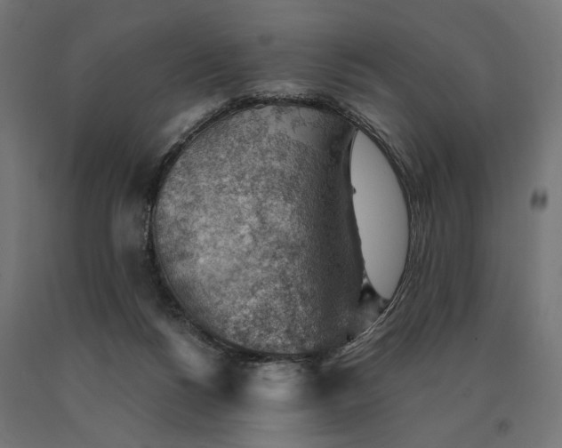 X0000090780168200708031723