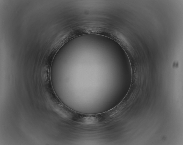 X0000090780169200708031723