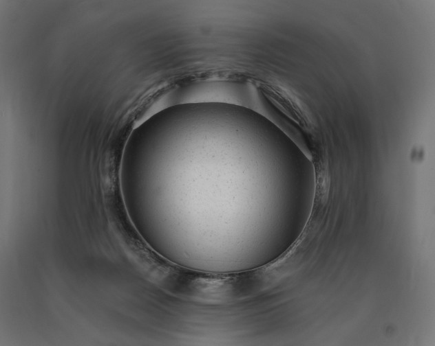 X0000090780170200708031723