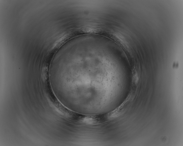X0000090780171200708031723
