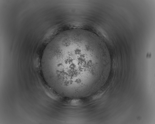 X0000090780173200708031723