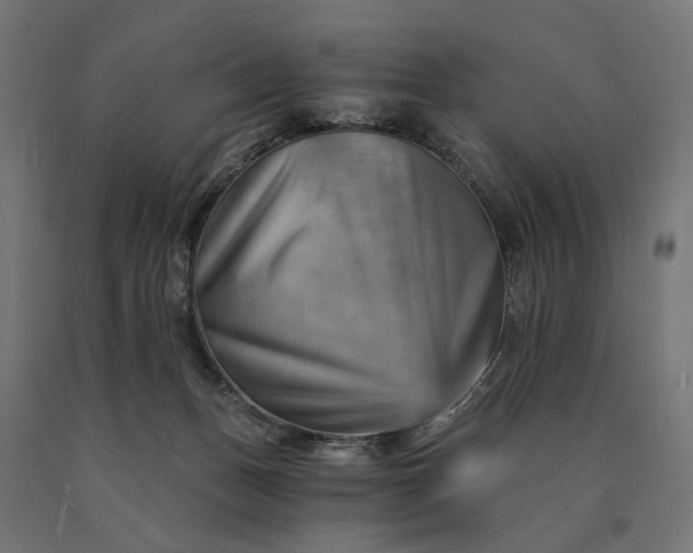 X0000090780175200708031723