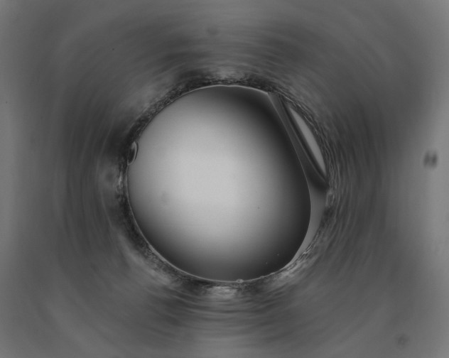 X0000090780176200708031723