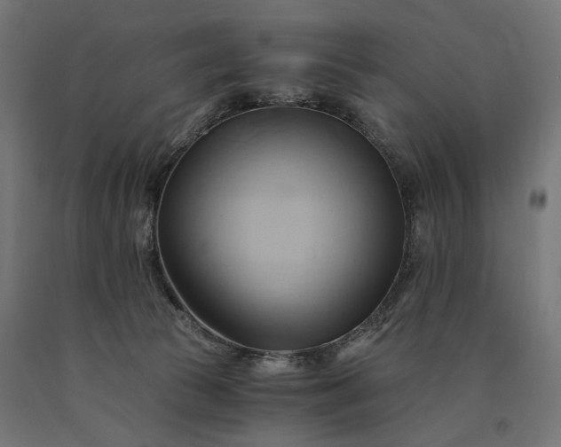 X0000090780177200708031723