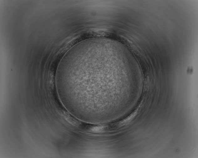 X0000090780178200708031723