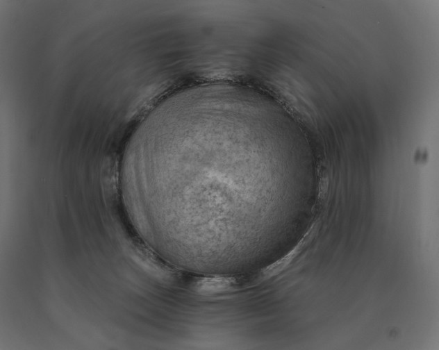 X0000090780179200708031723