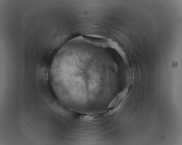 X0000090780180200708031723