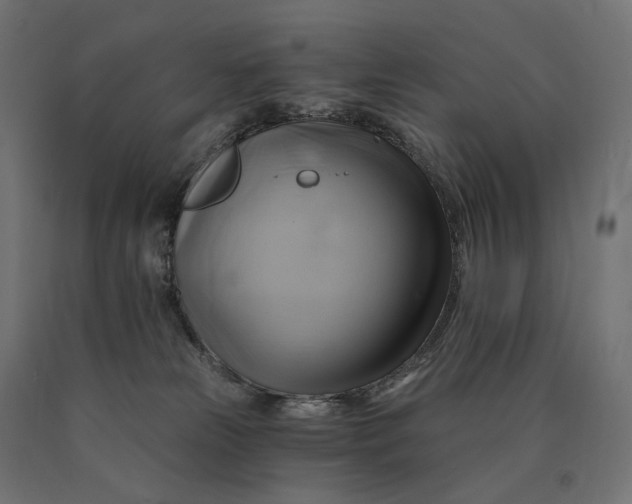 X0000090780181200708031723