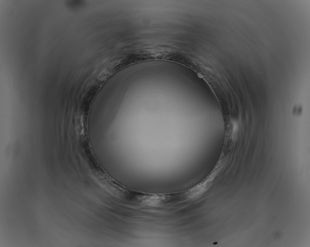 X0000090780182200708031723