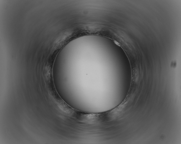 X0000090780184200708031723