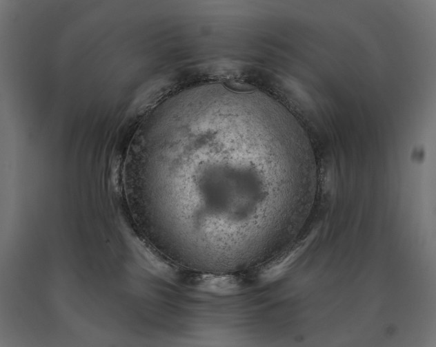 X0000090780185200708031723