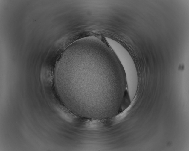 X0000090780186200708031723