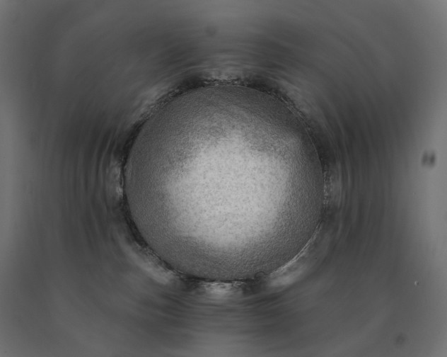X0000090780187200708031723