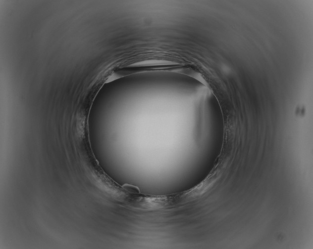 X0000090780188200708031723