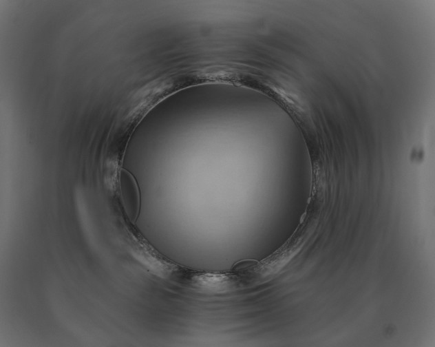 X0000090780189200708031723