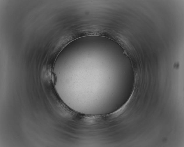 X0000090780190200708031723