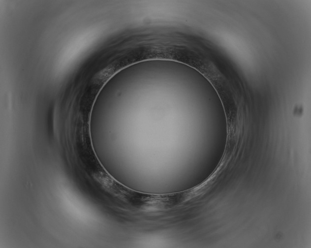 X0000090780191200708031723