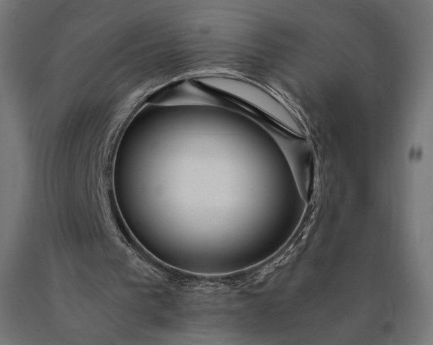 X0000090780193200708031723