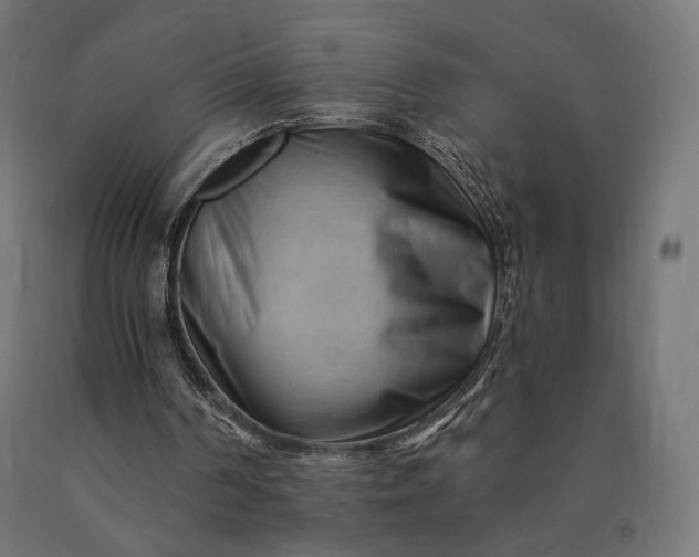 X0000090780194200708031723