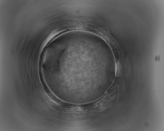 X0000090780195200708031723