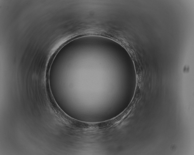 X0000090780196200708031723