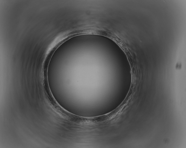 X0000090780198200708031722