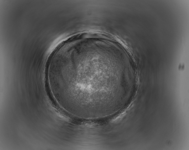 X0000090780199200708031722