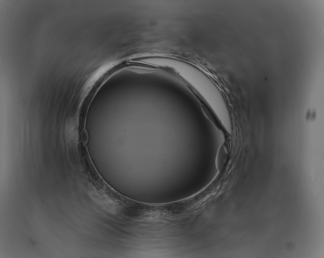 X0000090780200200708031722