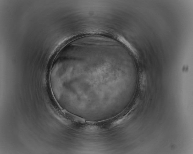 X0000090780203200708031722