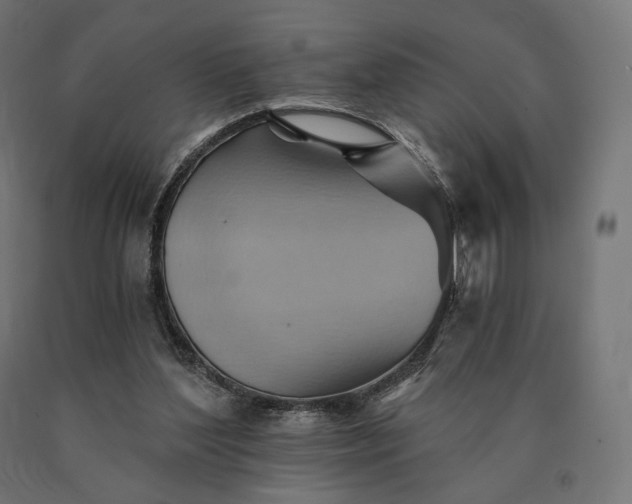 X0000090780204200708031722