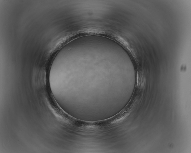 X0000090780205200708031722