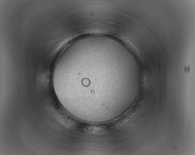 X0000090780208200708031722