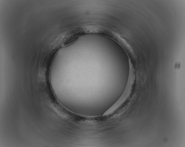 X0000090780209200708031722