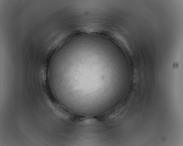 X0000090780210200708031722