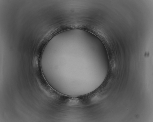 X0000090780214200708031722