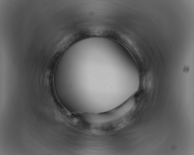 X0000090780217200708031722