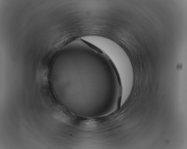 X0000090780219200708031722