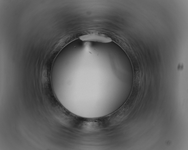 X0000090780220200708031722