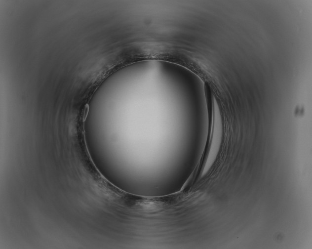 X0000090780221200708031722