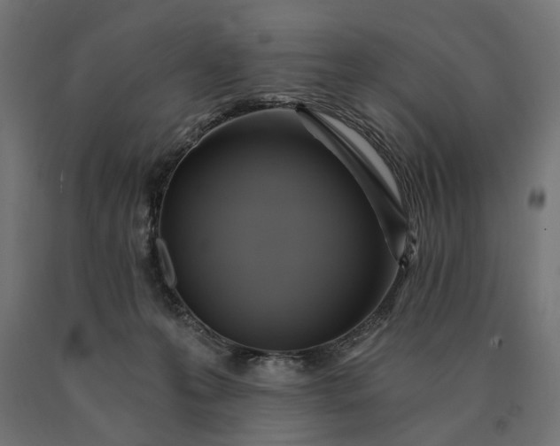 X0000090780223200708031722