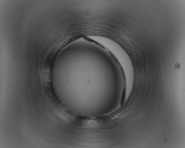 X0000090780224200708031722