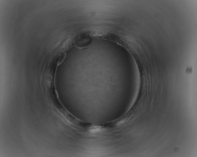 X0000090780227200708031722