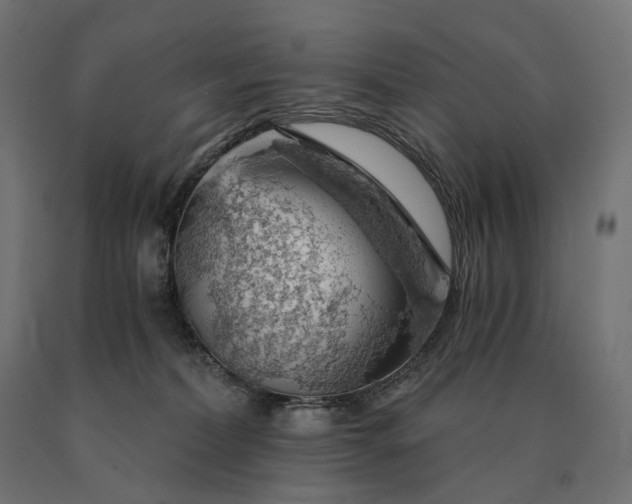 X0000090780228200708031722