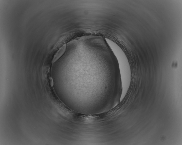 X0000090780229200708031722