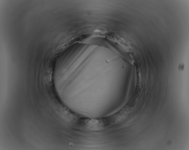 X0000090780230200708031722