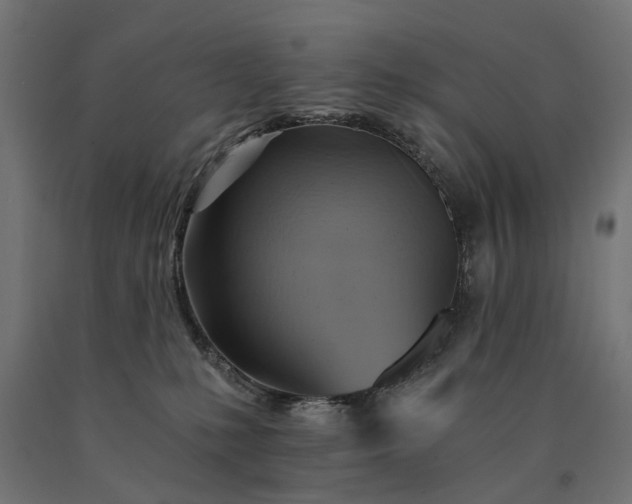 X0000090780231200708031722