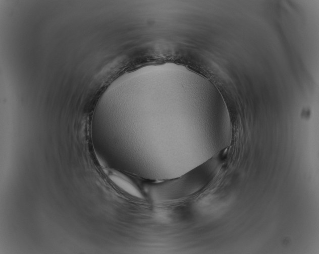 X0000090780233200708031722
