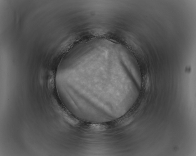 X0000090780234200708031722